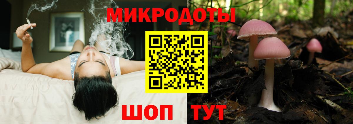 Галлюциногенные грибы Cubensis  Вход с VPN  Псилоцибиновые грибы MAGIC MUSHROOMS  Сухой Лог 